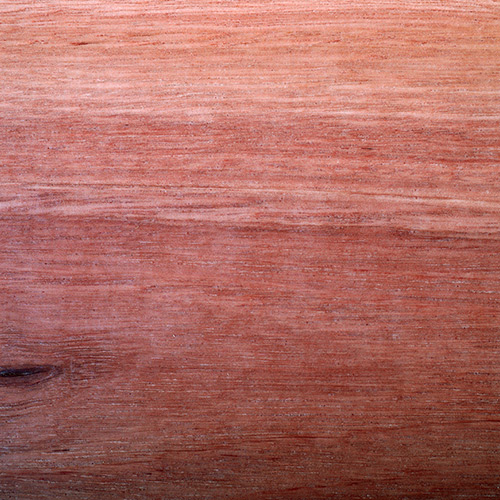 Jarrah Fireshield