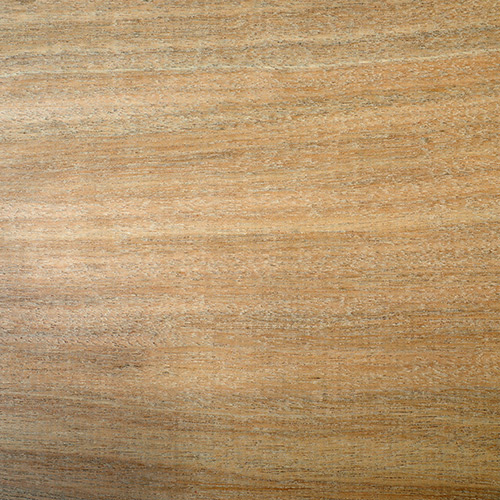 Pacific Teak Fireshield