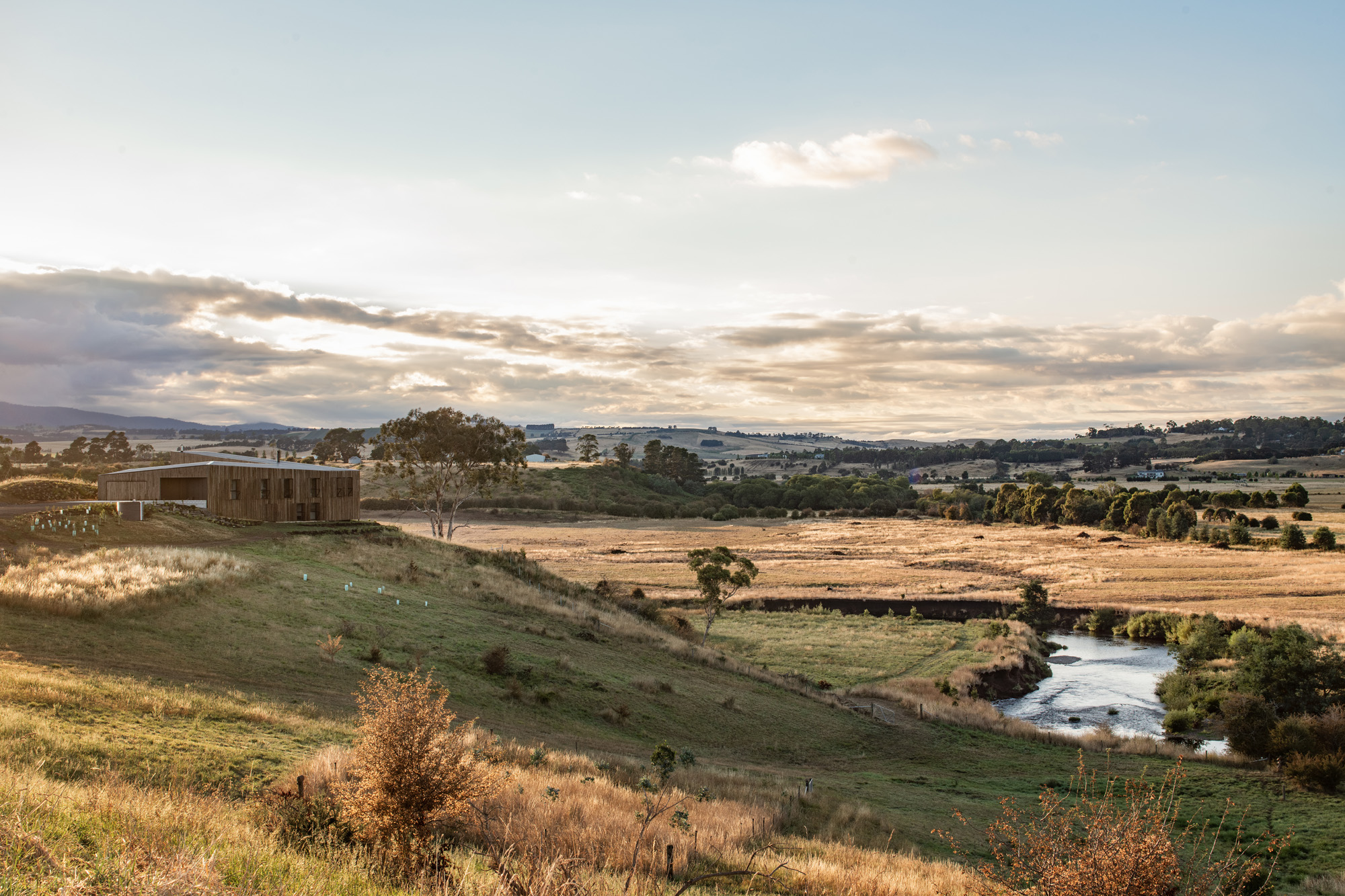 Mortlock Timber